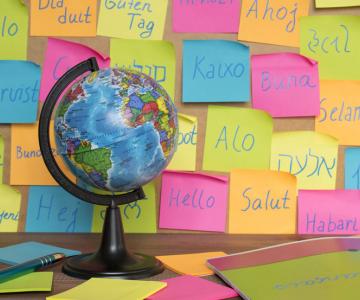 International Language Barriers: Solving 5 Logistics Problems